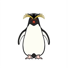イワトビペンギン Rockhopper