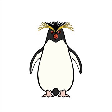 イワトビペンギン Images Browse 178 Stock Photos Vectors And Video Adobe Stock