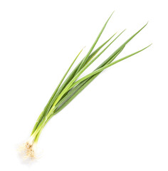 Fototapeta premium Bunch of green onion on white background