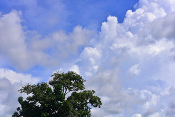 Beautiful sky. Cumulonimbus cloud and cirrus cloud