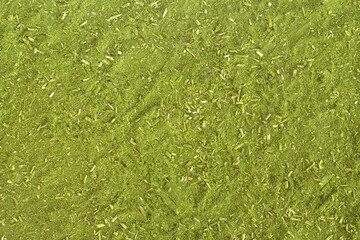 Herb background for mate and yerba mate leaves