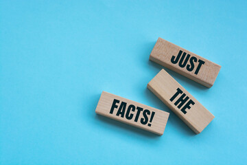 Wooden blocks with words 'Just the facts'.