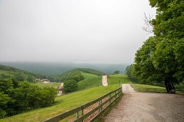 대관령 양떼목장