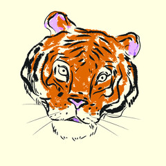 Head of tiger hand drawn character, icon, mascot vector illustration.