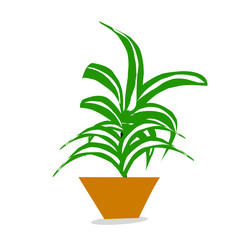 green plant vector illustration