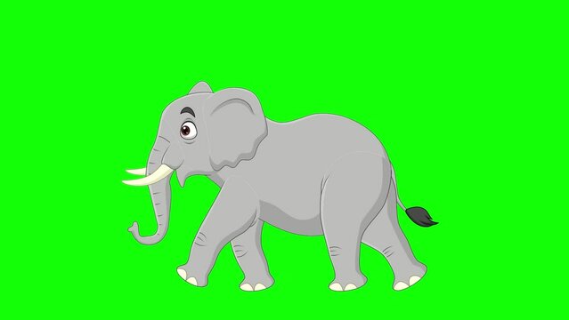 Cartoon elephant walking animation on the green screen background