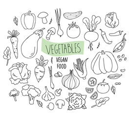 Big Set vector vegetables, root vegetables and vegetable food in linear hand drawn doodle style. Mushrooms and cabbage, beet, garlic and carrots, peas and chili peppers. Isolated elements for design
