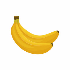 Bananas. Image of bananas. Ripe tropical fruit. A ripe branch of bananas. Vector illustration isolated on a white background