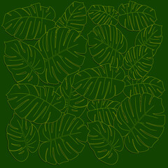 Fototapeta premium Vector illustration, EPS. Monstera leave pattern, placed on a green background and leave shadow. Beautiful, elegant pattern. Golden pattern. Outline pattern. tree pattern.
