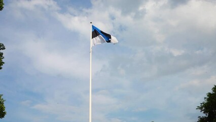 The estonian flag