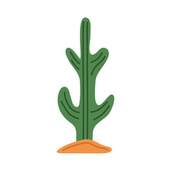 Obraz premium cactu plant with sand