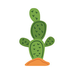 cactu plant desert
