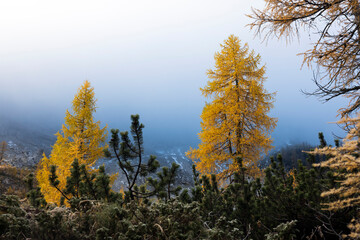 Sense of Tranquillity and Peace of Mind at idyllic View of Alps Environment in Autumn Season