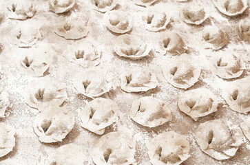 Raw dumplings stuffed with meat in line in the home kitchen. Digital watercolor painting. Modern Art