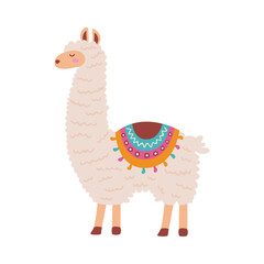 cute llama standing