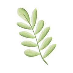 branch with leafs nature