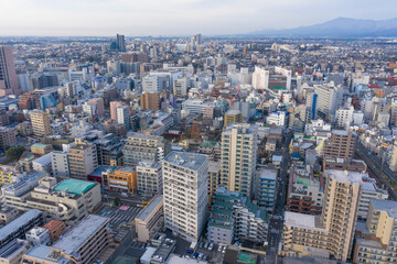 Obraz premium Wide View of Urban Sprawl of Tokyo in the Morning, Japan
