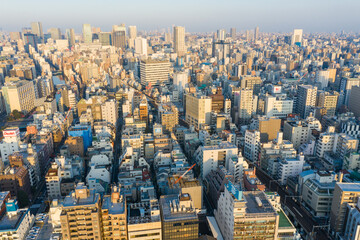 Urban Japanese Landscape of Tokyo