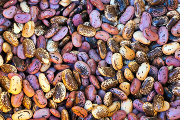 Full Frame of Mixed Legume Family Beans from High Angle View