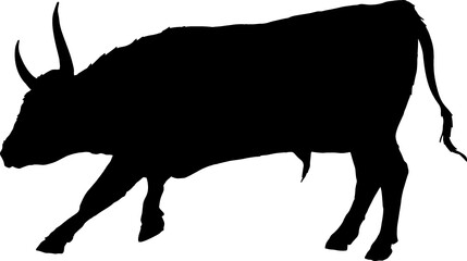 Isolated Bull Silhouette, Fighting Bull Silhouette in Vector