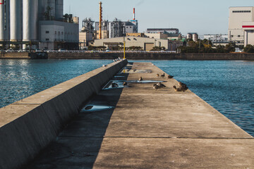 カモメと桟橋