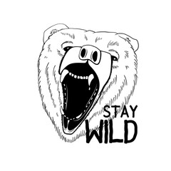 Vector Bear isolated on white background with say wild slogans. Furious bear head. Bear silhouette.