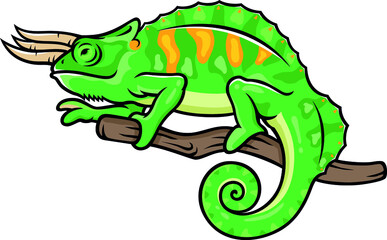 Chameleon with Three Horns and Fins Walking on the Branch