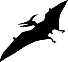 Isolated Pterodactyl, Pteranodon, pterosaurs Silhouettes, Dinosaur Silhouette in Vector © JayMadison