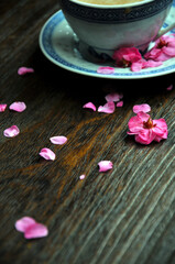 cup of coffee and plum flowers on the table