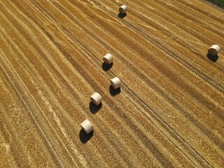 Fototapeta na wymiar Top view of hay bales in the field on a sunny day in summer