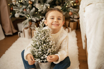 A little boy is holding a mini Christmas tree and laughing.