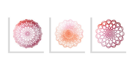 oriental colorful lace floral circles vector  set