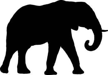 Isolated Elephant Silhouette in Vector