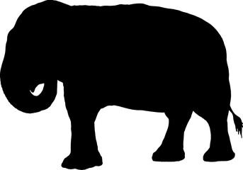 Isolated Elephant Silhouette in Vector