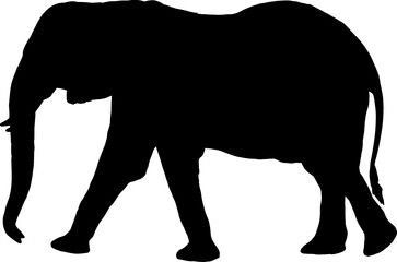 Isolated Elephant Silhouette in Vector