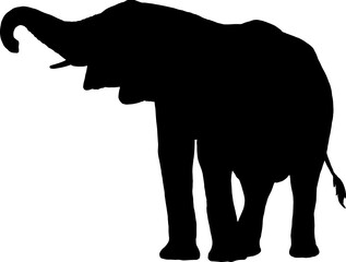 Isolated Elephant Silhouette in Vector