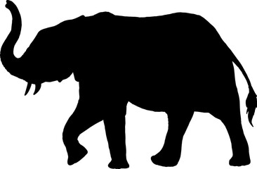 Isolated Elephant Silhouette in Vector