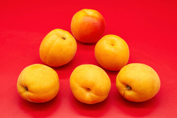Fresh Apricots isolated on red background. Healthy eating concept