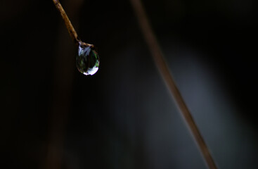 drop of water