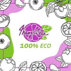 The mangosteen template is drawn with elements of a sketch-style doodle. Whole mangosteen, parts, leaves, slices, core. Collection of fruit images. Vector illustration with space for text.