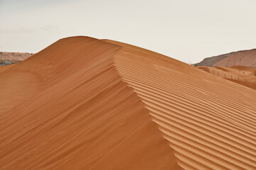 Beauty of Desert