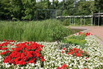 Blumenbeet im Nordpark in Düsseldorf