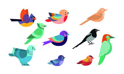 Vector collection with cartoon-style birds on a white background.