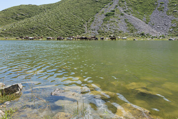 Laghetto di montagna