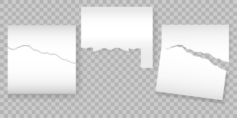 Torn of white note, notebook paper strips and pieces stuck on dark PNG background. vector illustration. Set of torn stickers on PNG background.