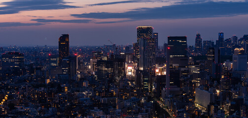 Tokyo Shinjyuku and Shibuya area panoramic view at night.	
