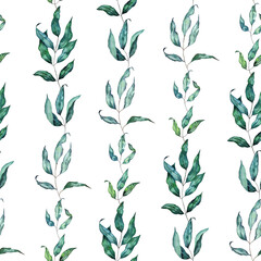Realistic green grass, leaves, plant branches watercolor set. Various types of field grass, a collection of wild grass elements. Hand-painted parts of botanical plants 