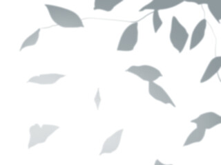 壁に映る葉の影の背景