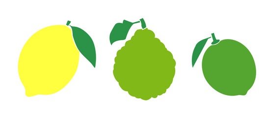 Vector Set of fruits  - a lemon, bergamot and a lime - colour icons on white background images - obrazy, fototapety, plakaty