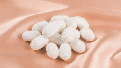 Fototapeta na wymiar Natural white silkworm cocoons on brown silk fabric background